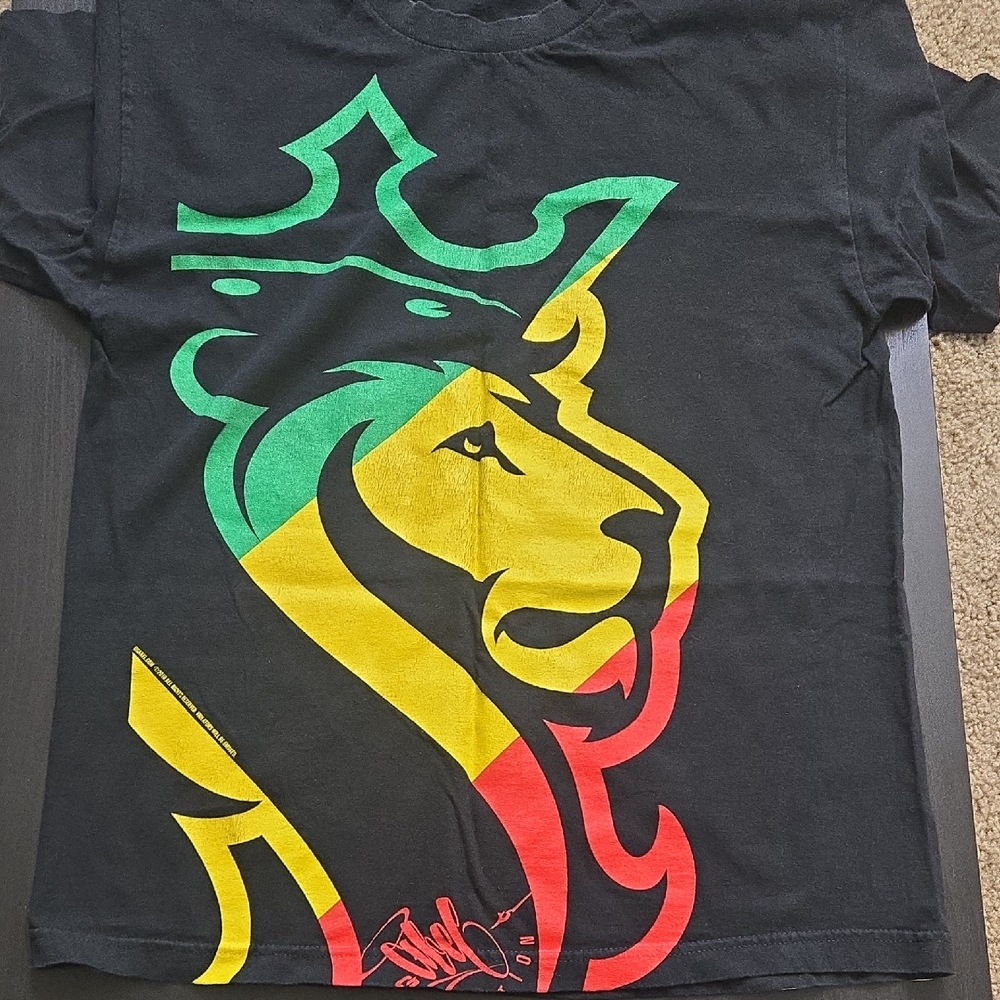 Vibrant Lion Graphic Tee - Black